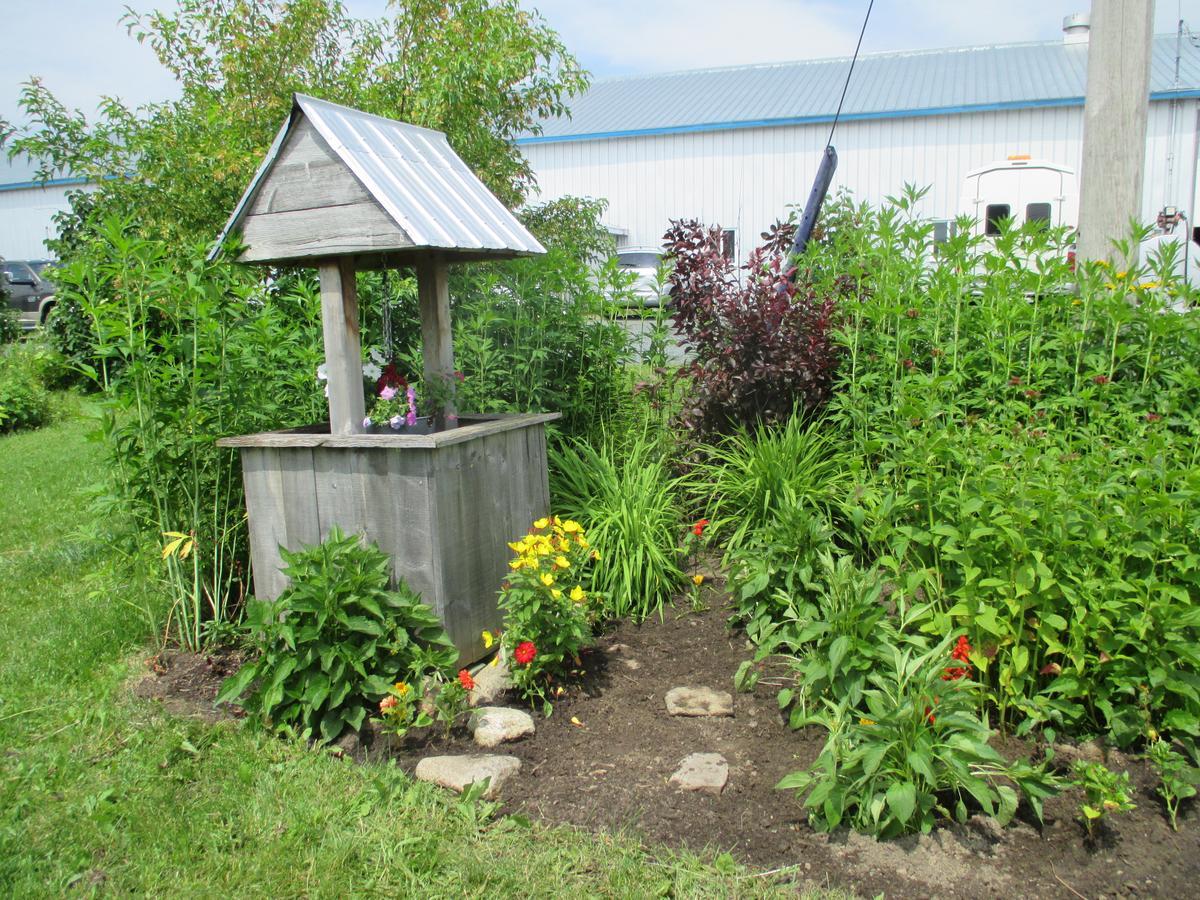 Gite Agricole Les Lilas Saint Wenceslas Exterior photo